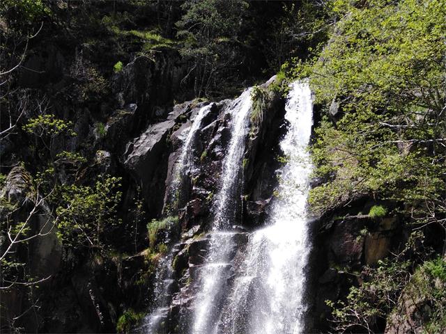 Foto per Escursione guidata "Alla cascata"
